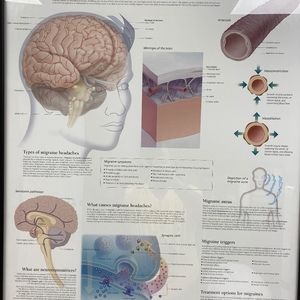 Meet your Posher, Saul